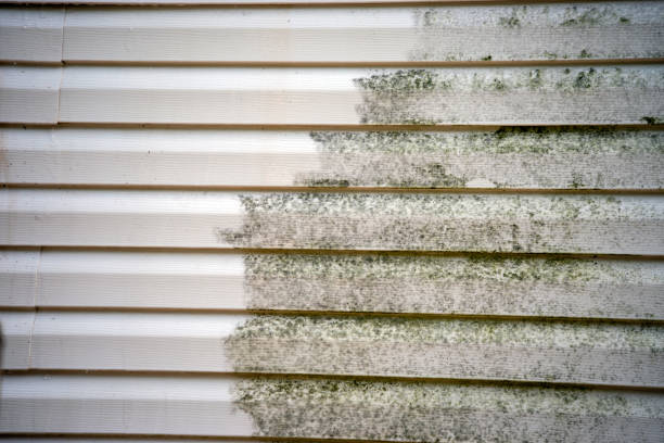 Best Wood Siding Installation  in Plain City, OH